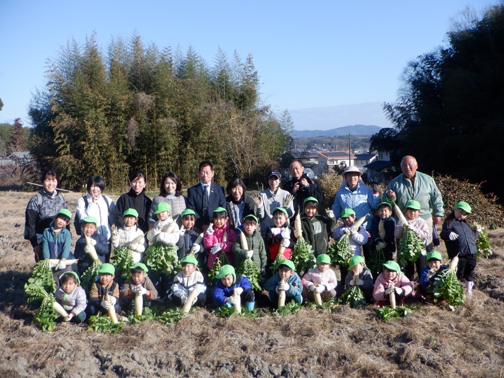 大根掘りに行ってきました。沢山の大根が採れました💕